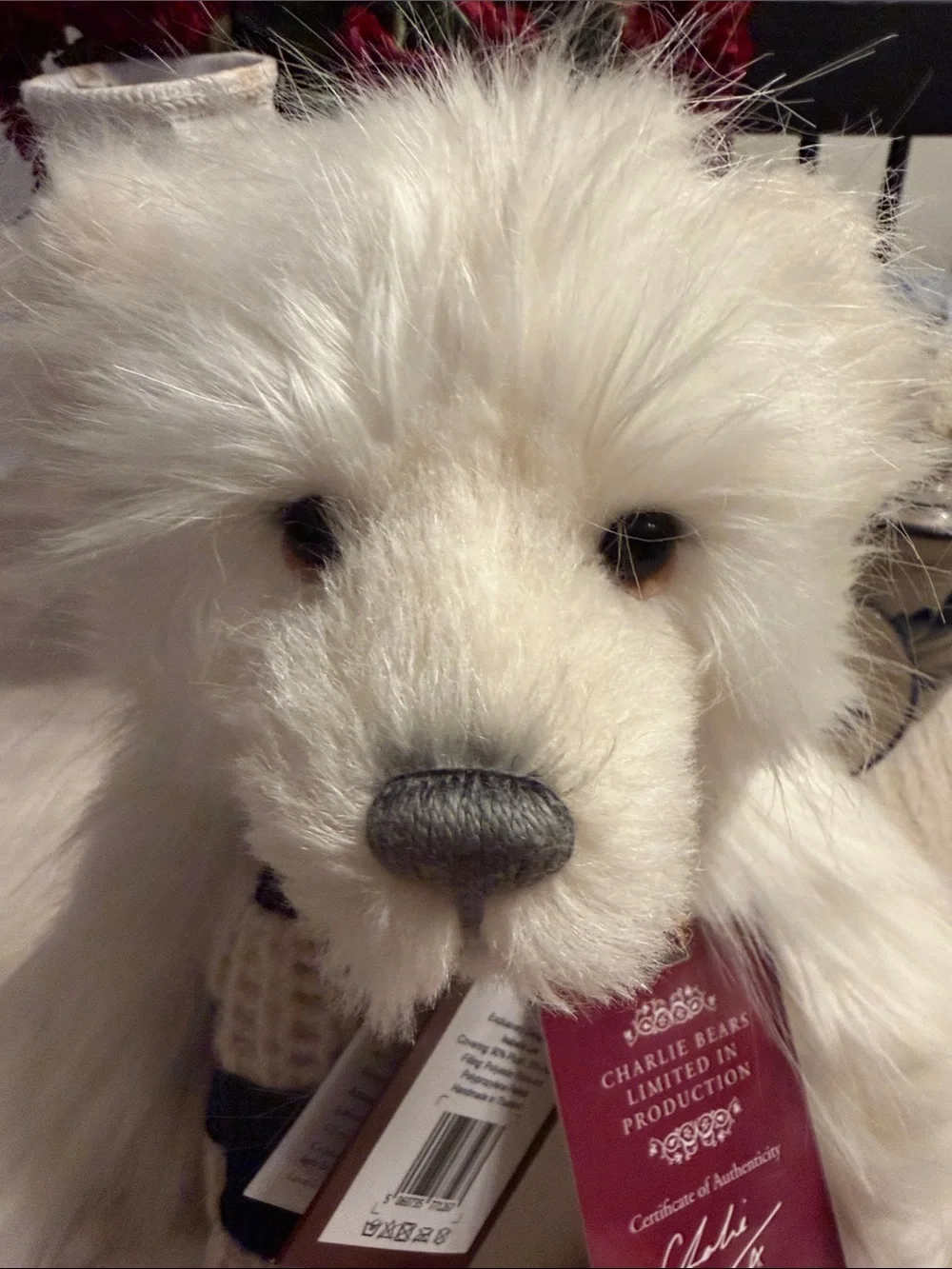 NWT! Rare, Retired, Limited Edition! Charlie Bears Snowbaby